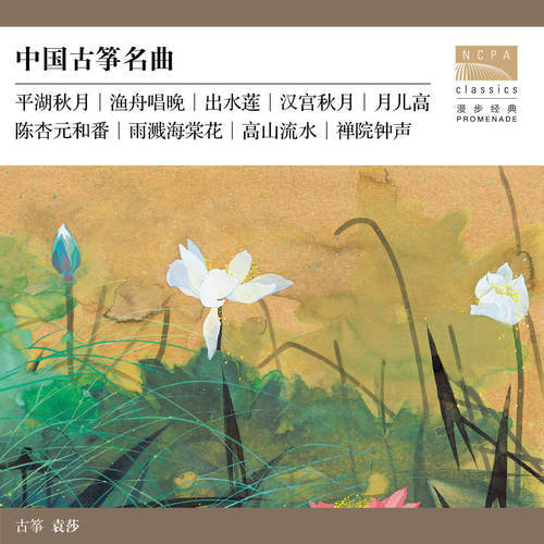 傳統(tǒng)古箏曲目_傳統(tǒng)的古箏_古箏曲傳統(tǒng)曲目