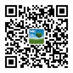 “你說了算”用英文怎么說？