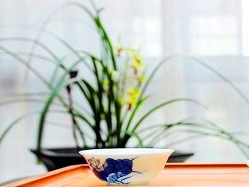 一念心清凈古琴曲_古琴曲一念心清凈_古琴曲一念心清凈減字譜