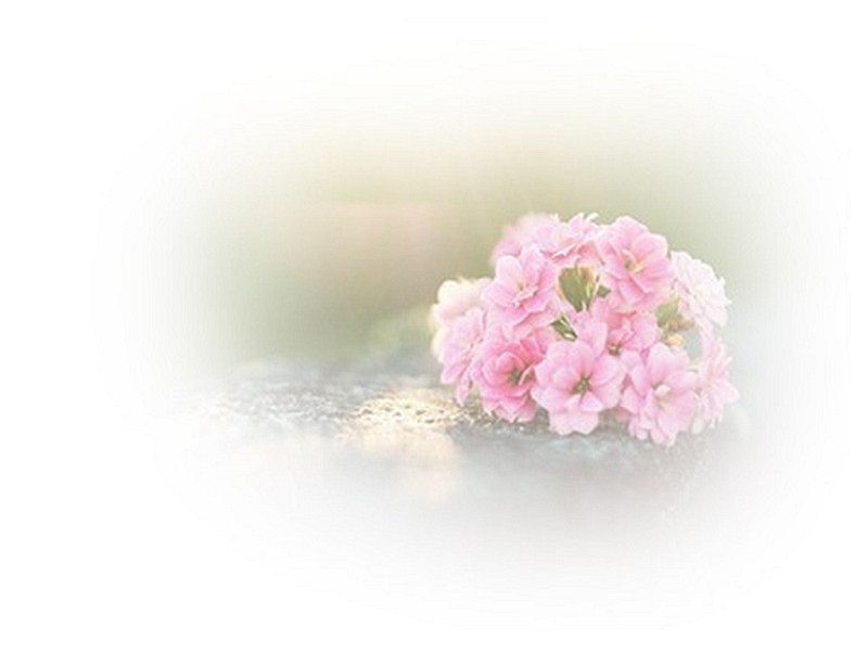 古琴曲一念心清凈減字譜_一念心清凈古琴曲_古琴曲一念心清凈