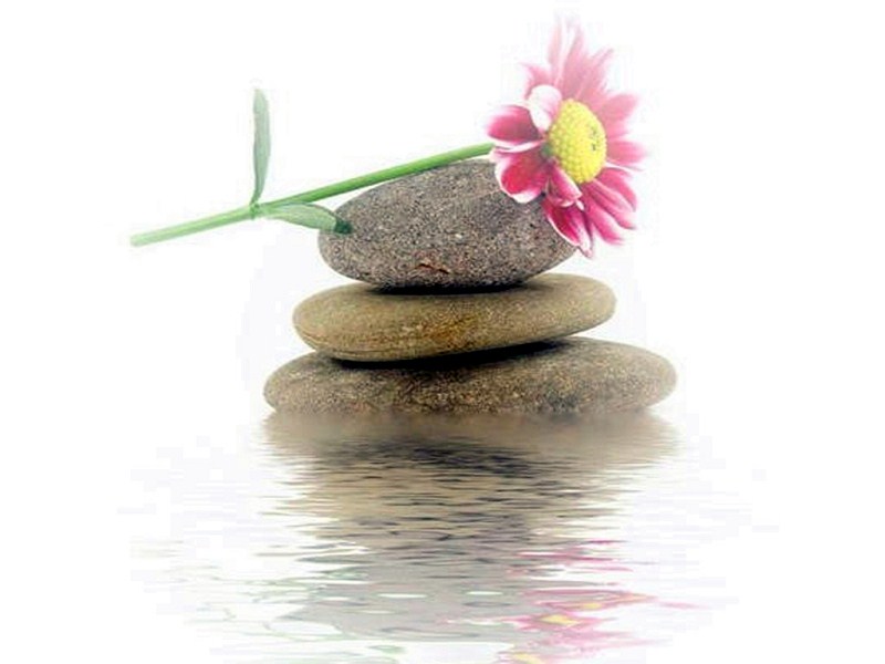 古琴曲一念心清凈_古琴曲一念心清凈減字譜_一念心清凈古琴曲